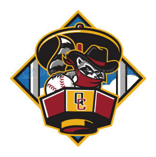 Quad Cities River Bandits Iron-on Stickers (Heat Transfers)NO.8126